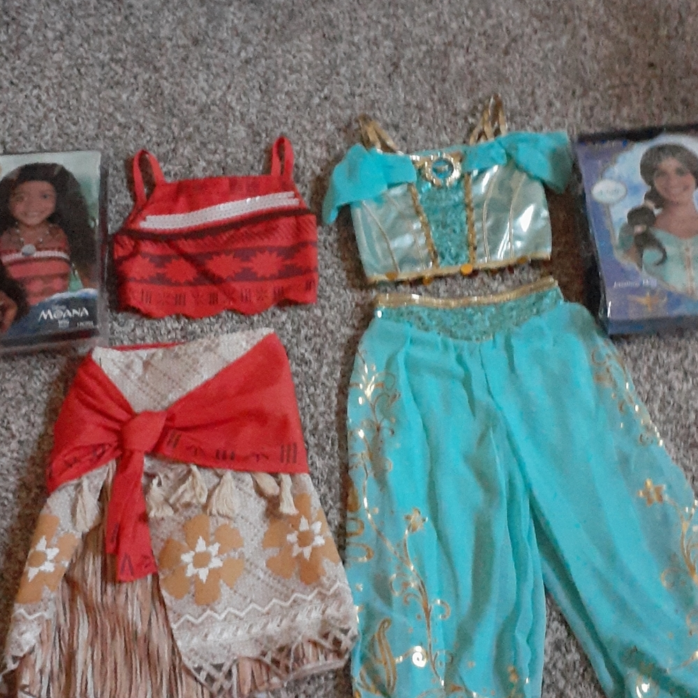 Disney Princess Costumes